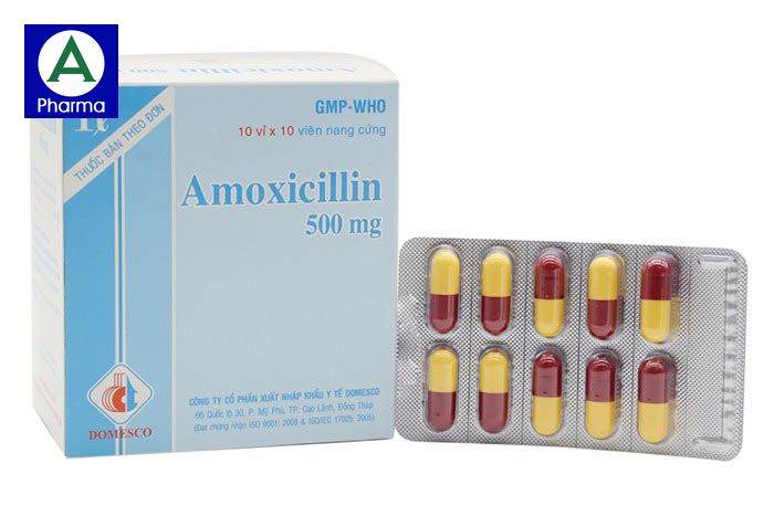 Amoxicillin 500mg Domesco