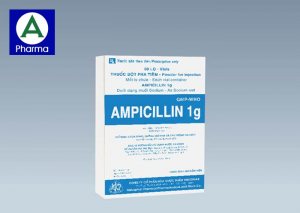 Ampicillin 1G Mekophar