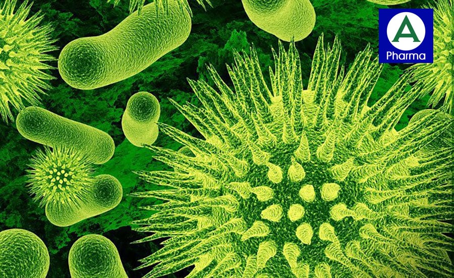 Lợi khuẩn Bifidobacterium sản xuất ra 75% kháng thể 