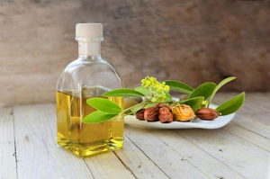Dầu JOJOBA