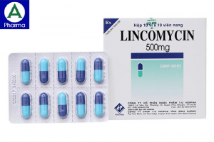Thuốc Lincomycin