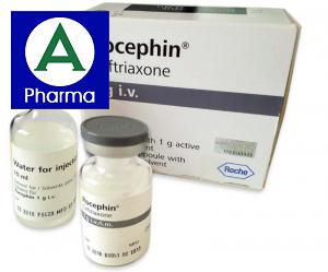 Thuốc kháng sinh Rocephin