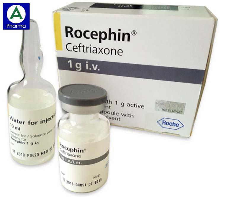 Thuốc kháng sinh Rocephin
